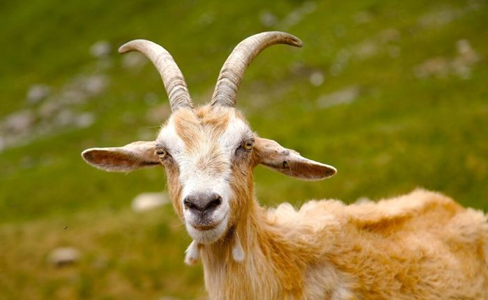 1741574325 unnamed2076