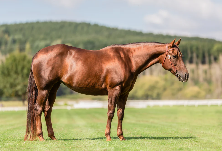 Người tuổi Bính Ngọ 1966 bước vào tháng 3 Âm lịch năm 2025 với nhiều thay đổi đáng chú ý 1743609305 unnamed20 202025 04 02t225456 647