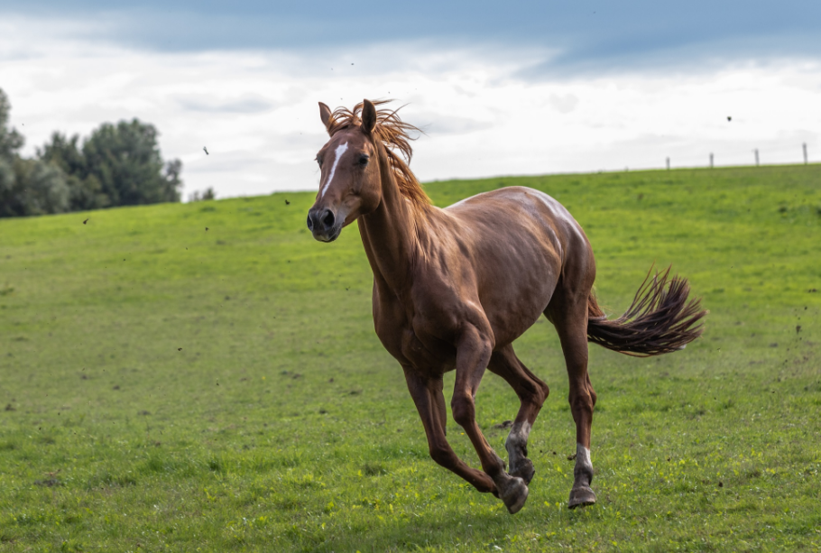 Trong tháng 3 năm 2025 Âm lịch, sự nghiệp của người tuổi Bính Ngọ có những chuyển biến tích cực 1743609313 unnamed20 202025 04 02t225452 848