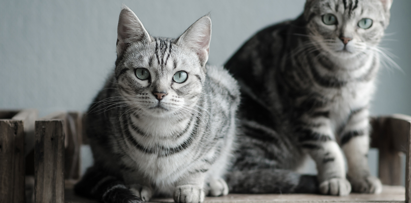 1743695235 unnamed20 202025 04 03t224651 682