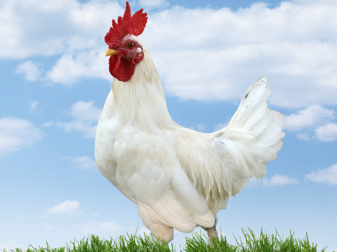 1744945402 unnamed20 202025 04 18t100223 383