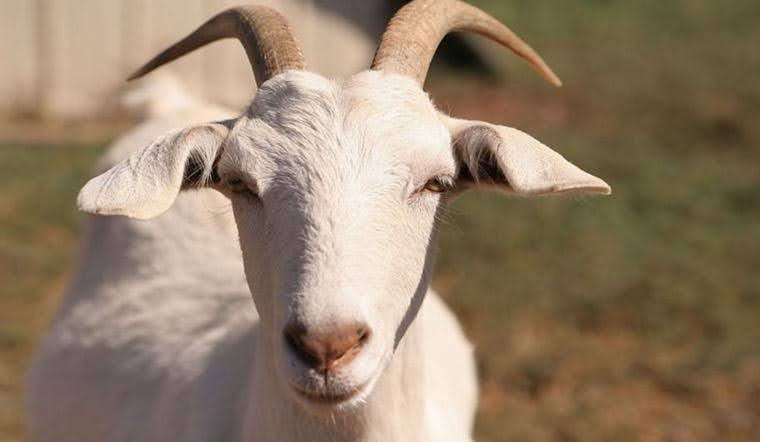 1746759937 unnamed20 202025 05 09t100459 397