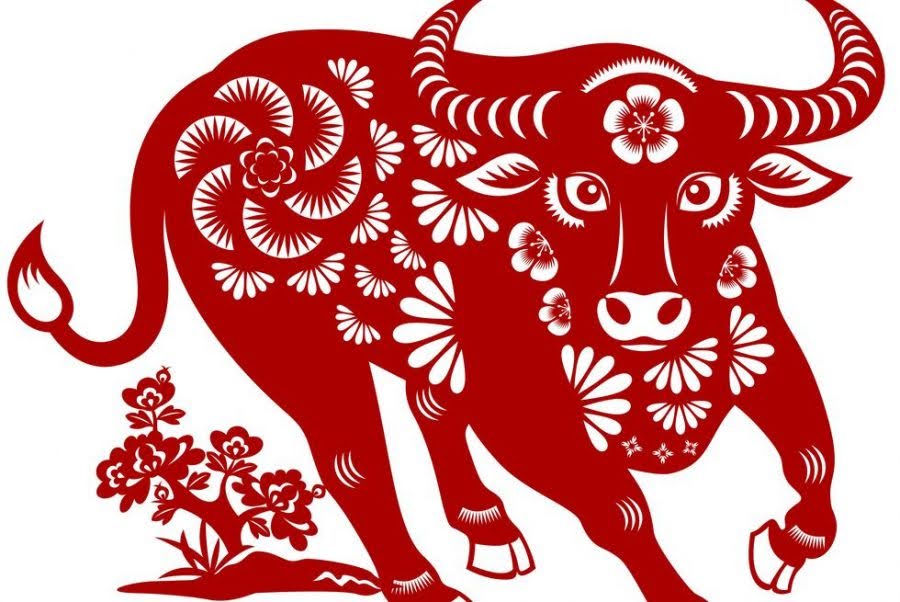 1747363303_unnamed20-202025-05-16t094123-415 1747363295 unnamed20 202025 05 16t094127 293