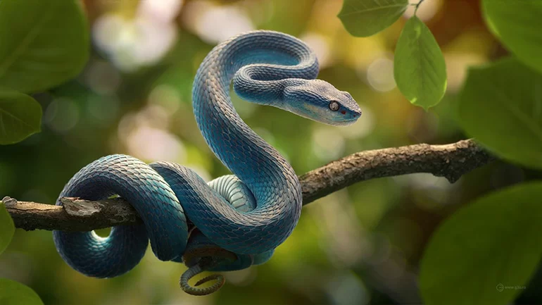 1747363311_unnamed20-202025-05-16t094119-937 1747363311 unnamed20 202025 05 16t094119 937