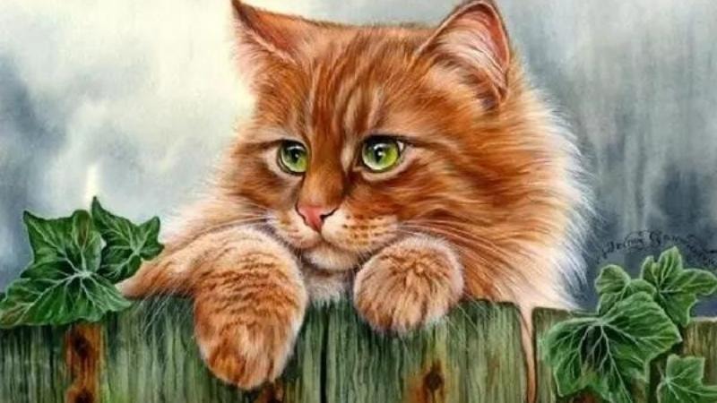 1747451423 tu vi 12 con giap hom nay 1852025 tuoi mao