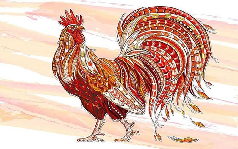 1747451622 tuoi dau 2025 1