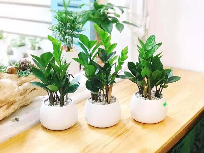 1747904881 unnamed20 202025 05 22t160733 135