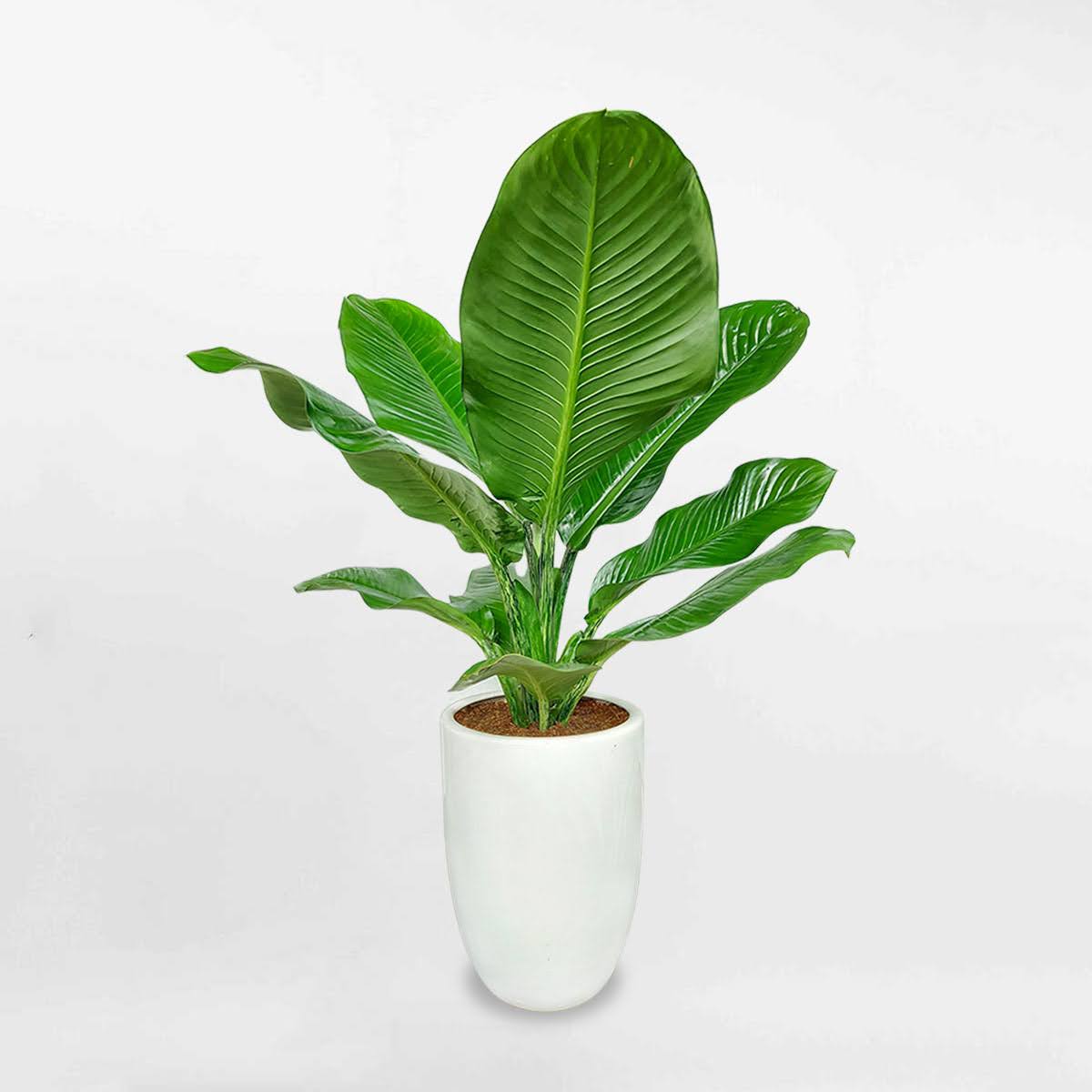 1747904901 unnamed20 202025 05 22t160721 940