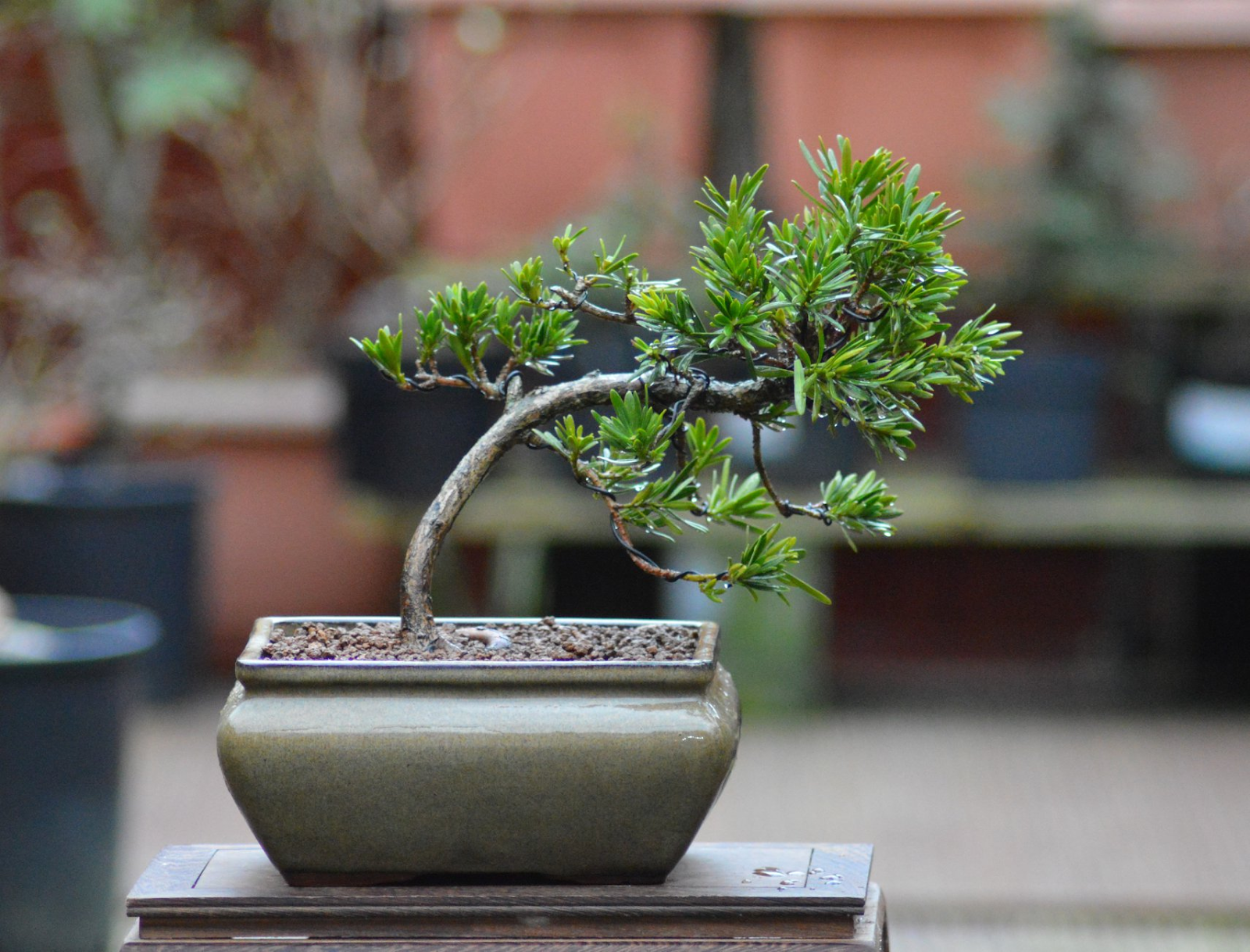 1747905186_unnamed20-202025-05-22t161222-583 1747905186 unnamed20 202025 05 22t161222 583