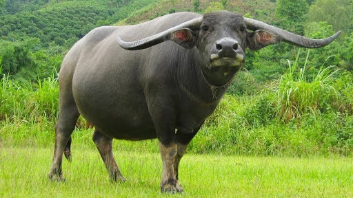 1747967903 unnamed20 202025 05 23t093817 097