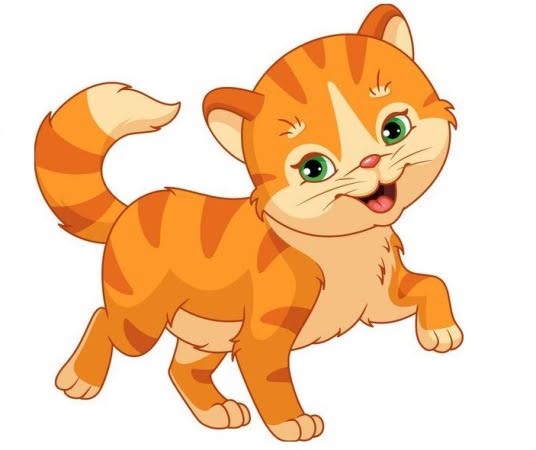 1747967910 unnamed20 202025 05 23t093813 430