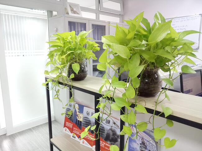 1747985177 unnamed20 202025 05 23t142538 327