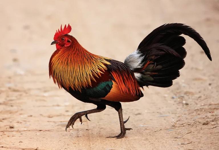 1747985686 unnamed20 202025 05 23t143439 438 1