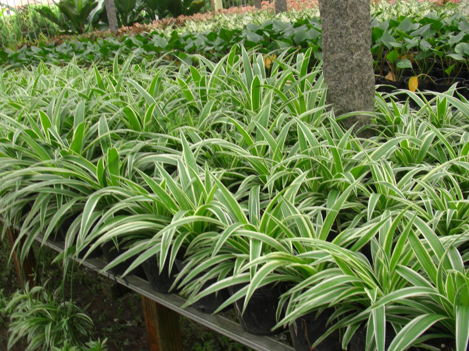 1748451549 picture25