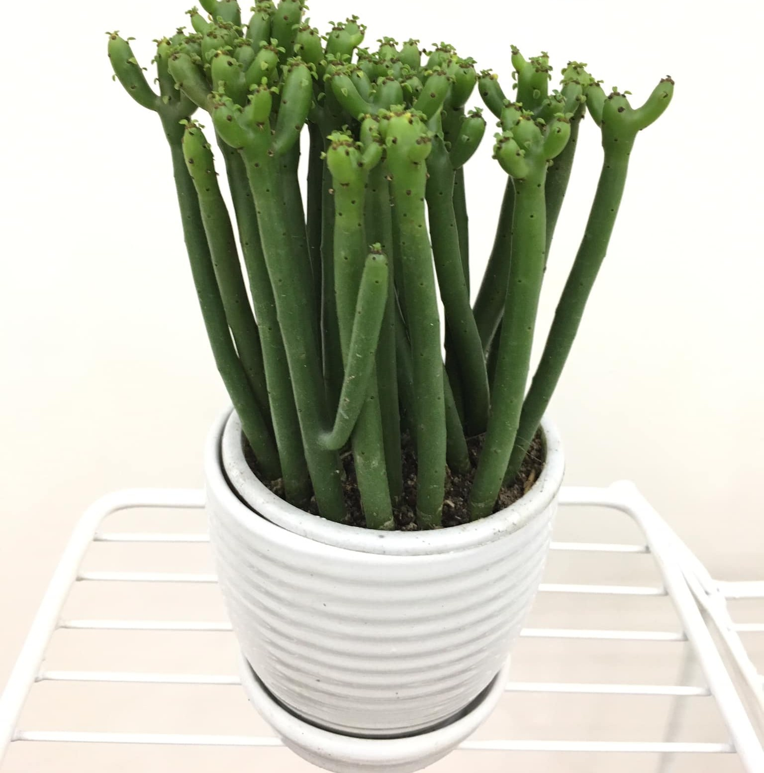 1748451640 picture27