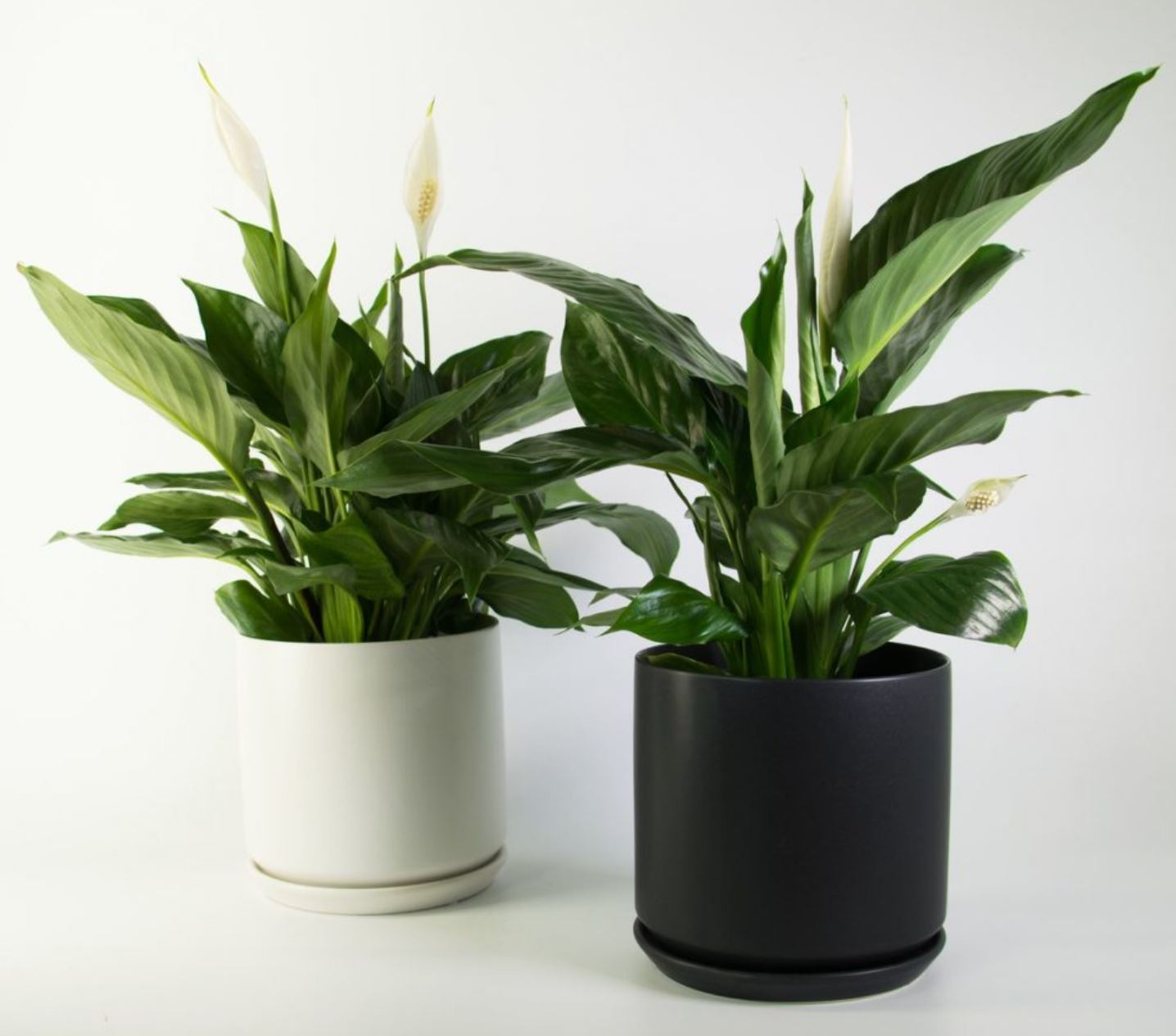 1748451681 picture28