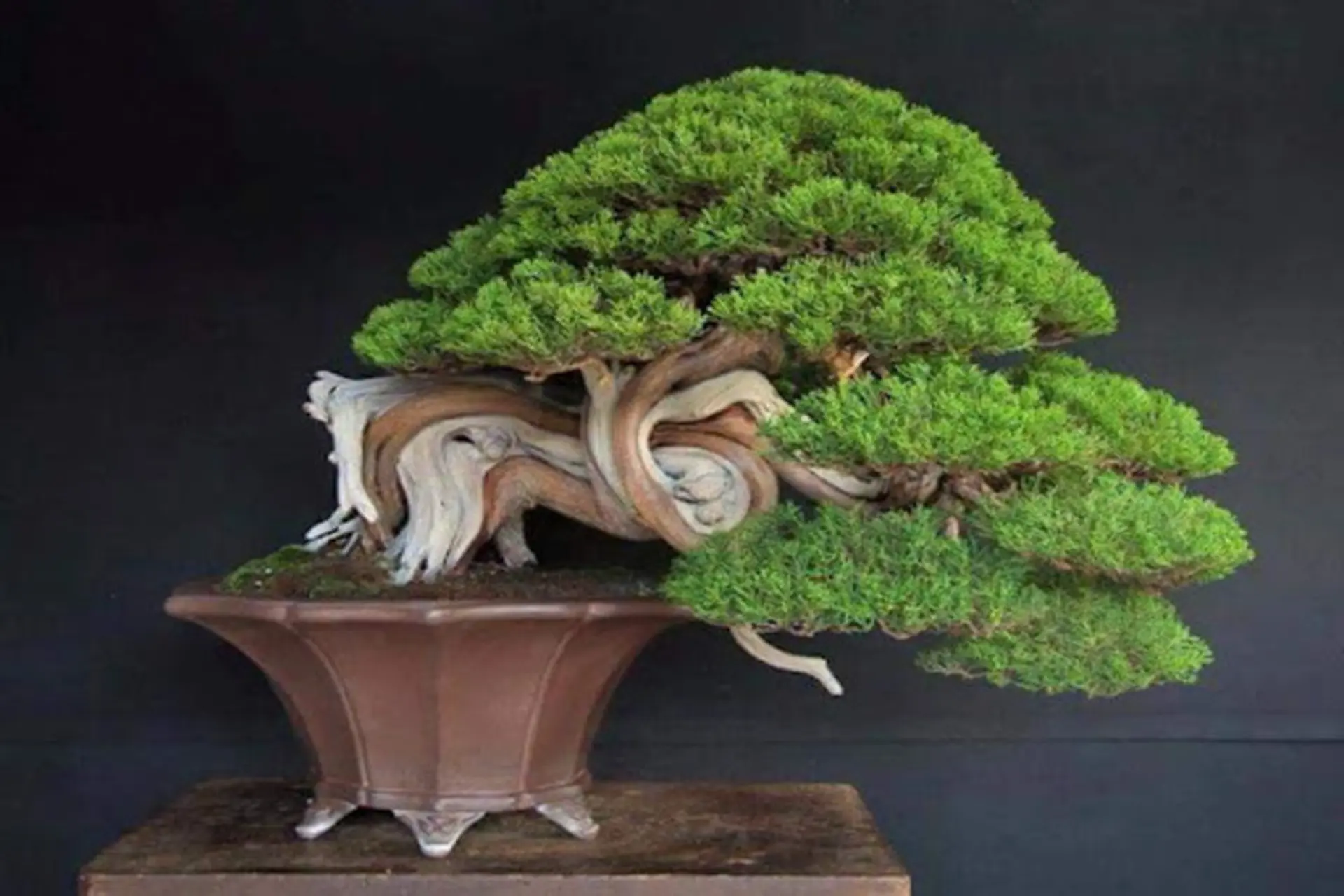 1748451709 picture30