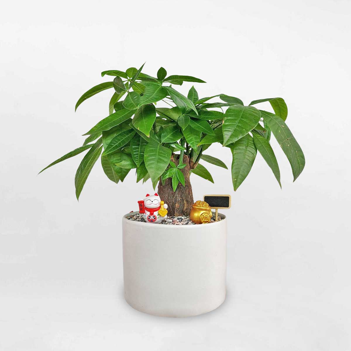 1748561861_picture5 1748561861 picture5