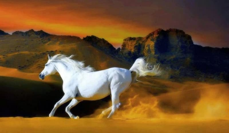 1748561909_picture2 1748561909 picture2