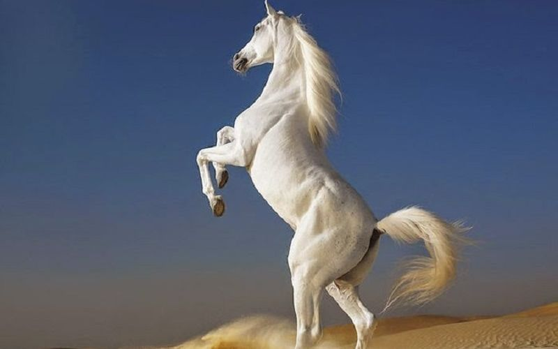 1748561921_picture1 1748561921 picture1