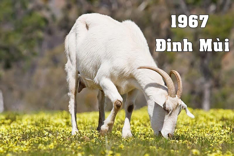 1748572790 unnamed20 202025 05 30t093942 779