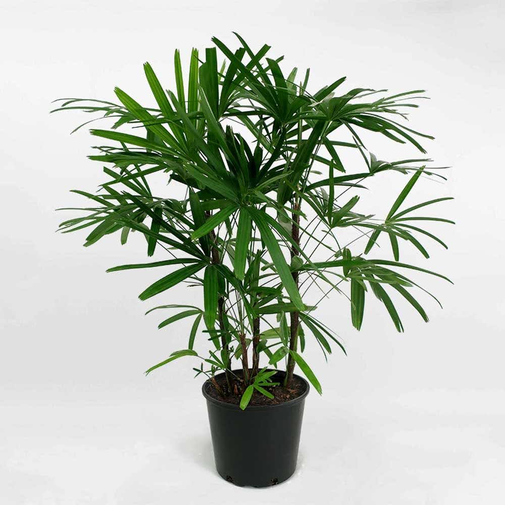 1748572813 unnamed20 202025 05 30t093924 830