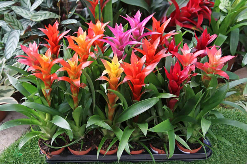 1748573400 unnamed20 202025 05 30t094939 058