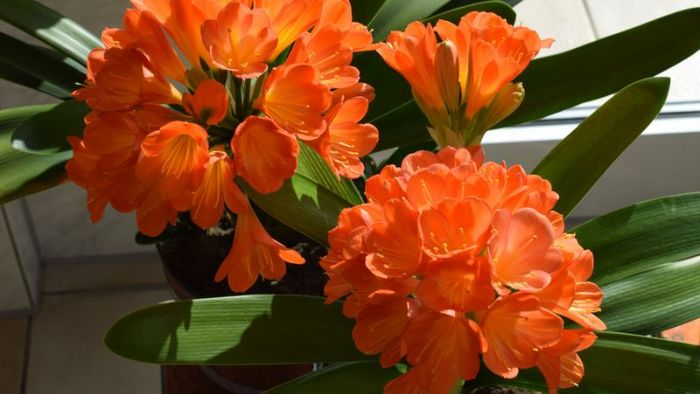 1748573416 unnamed20 202025 05 30t094929 124