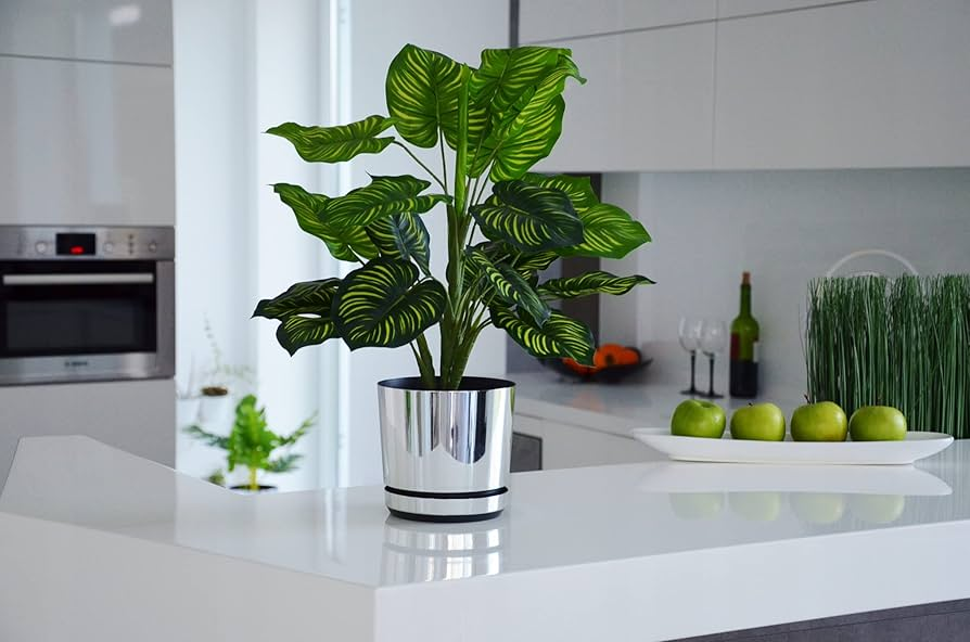 1748573424 unnamed20 202025 05 30t094924 295