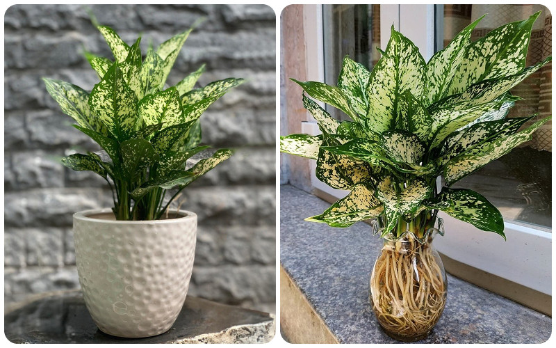 1748573823 unnamed20 202025 05 30t095634 857