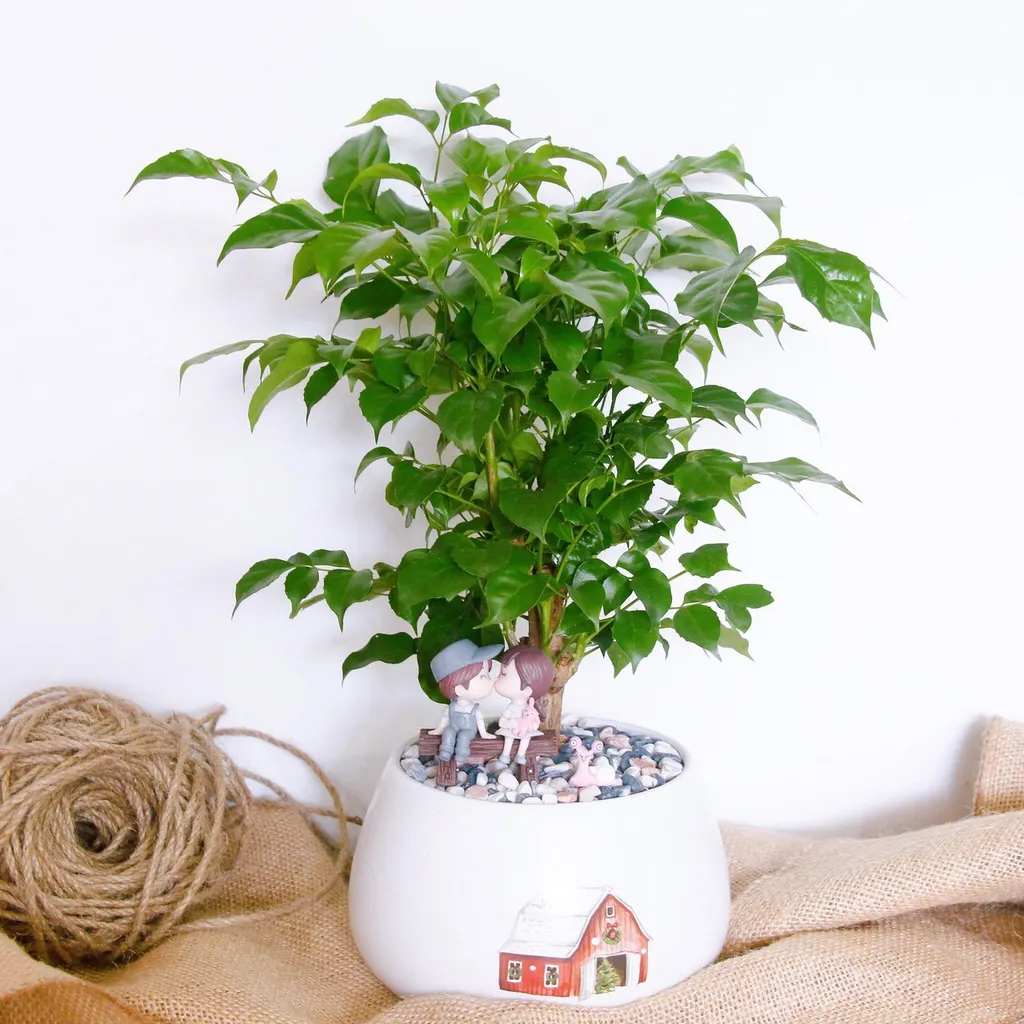 Cây Hạnh Phúc tăng vận khí 1748574102 unnamed20 202025 05 30t100100 195