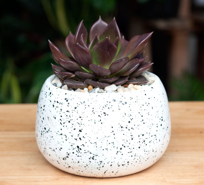 1748908917 picture10