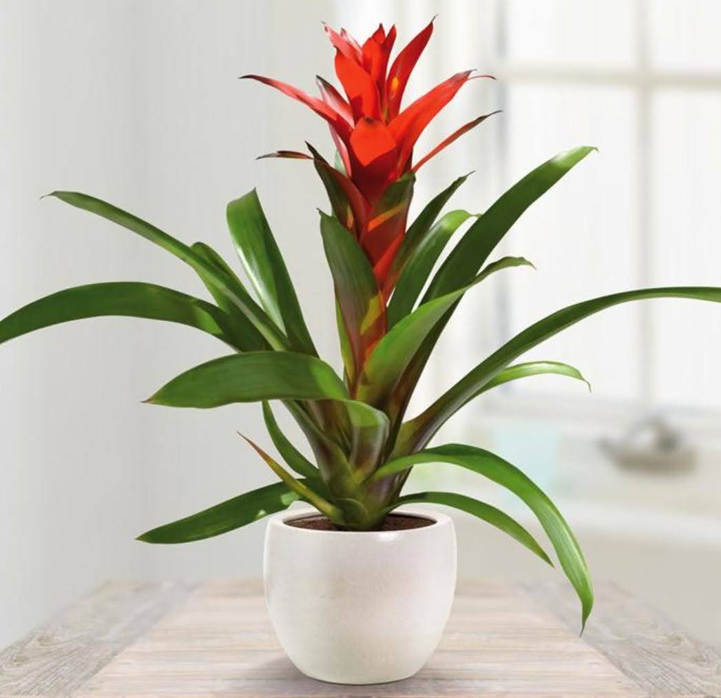 1748915644 unnamed20 202025 06 03t085300 393