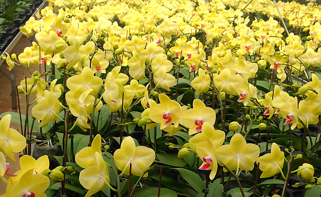 1749001951 unnamed20 202025 06 04t085212 910