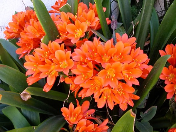 1749001959 unnamed20 202025 06 04t085207 555