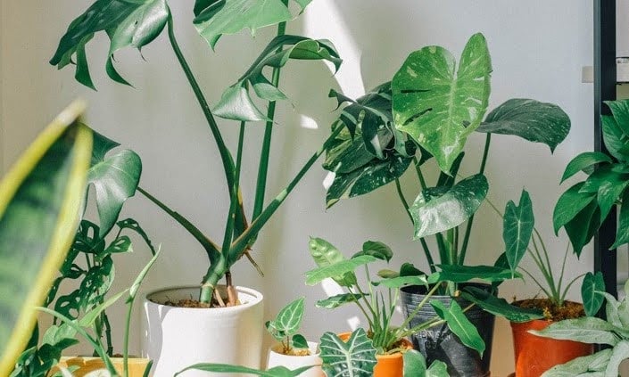 1749002293 unnamed20 202025 06 04t085754 819