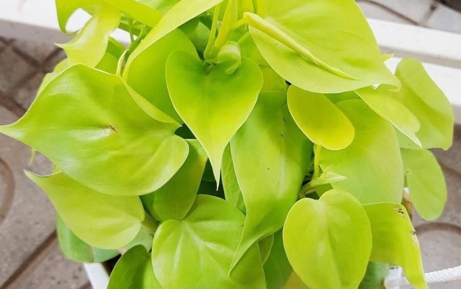 1749002307 unnamed20 202025 06 04t085740 559