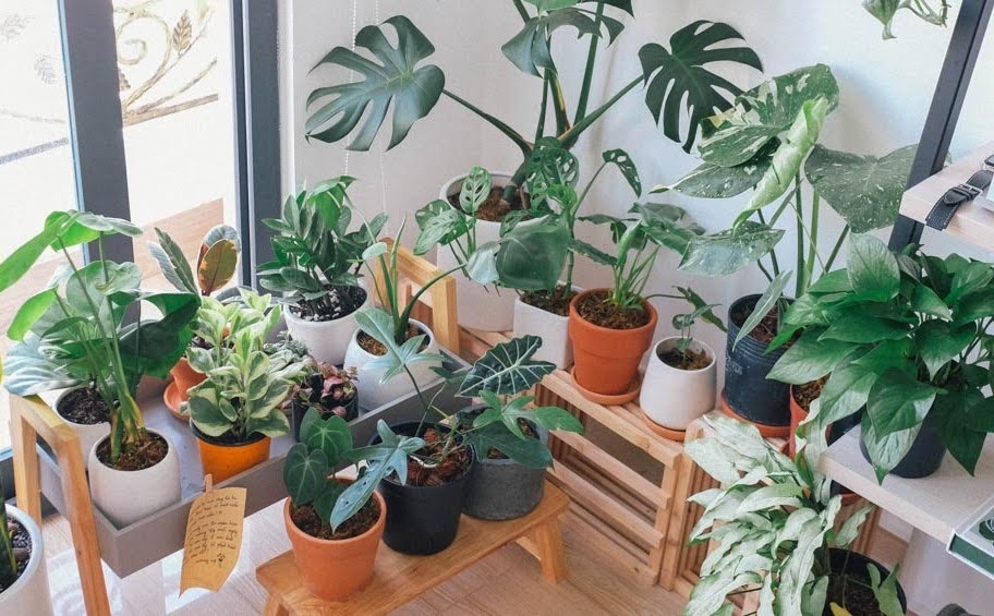 1749002328 unnamed20 202025 06 04t085729 140