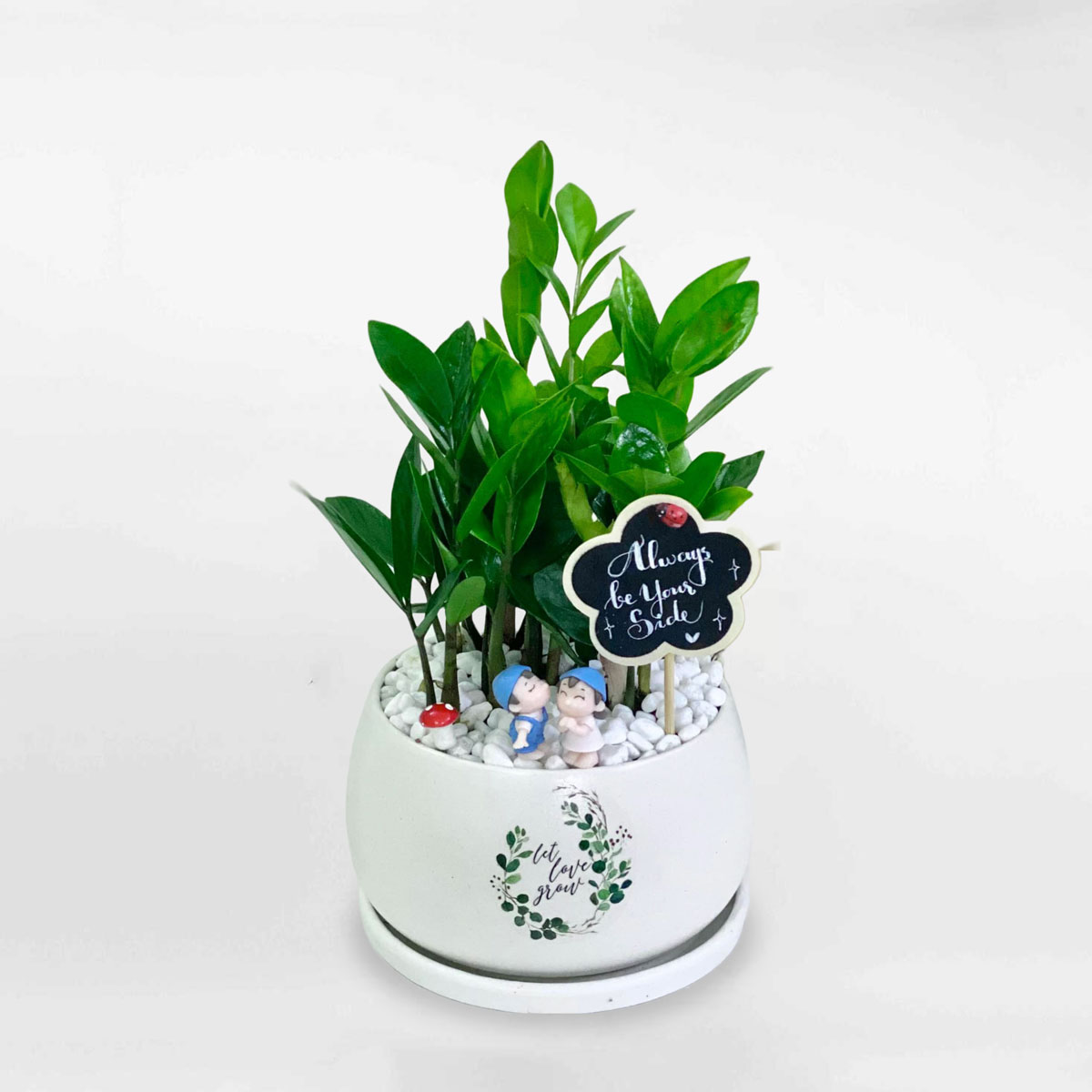 1749002629 unnamed20 202025 06 04t090316 962