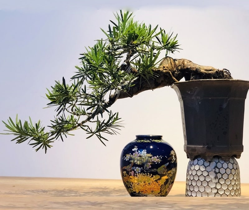 1749002654 unnamed20 202025 06 04t090305 845