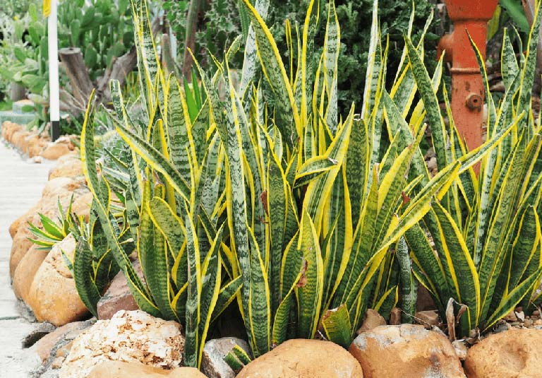 1749002923 unnamed20 202025 06 04t090803 873