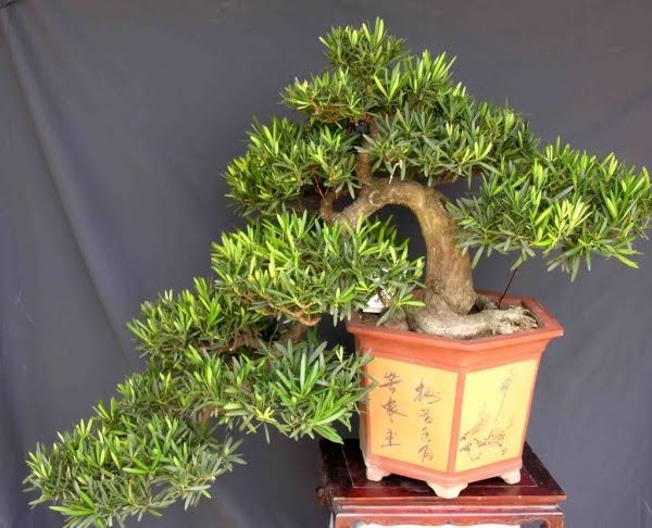 1749005115 unnamed20 202025 06 04t094443 410