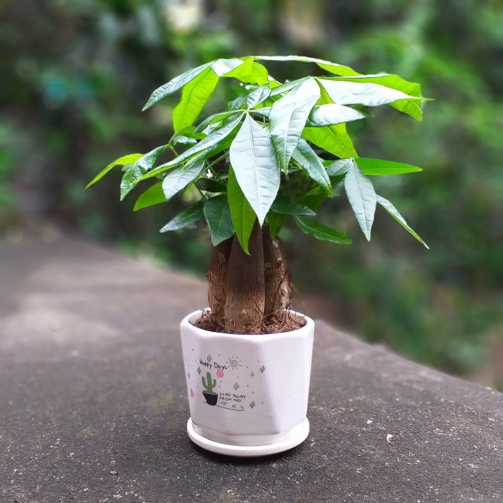 1749005123 unnamed20 202025 06 04t094433 219