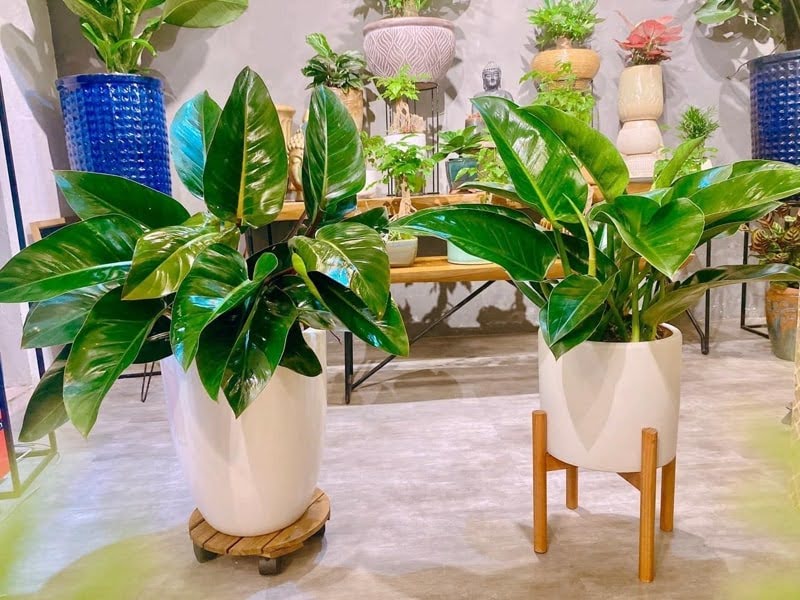 1749005129 unnamed20 202025 06 04t094429 505