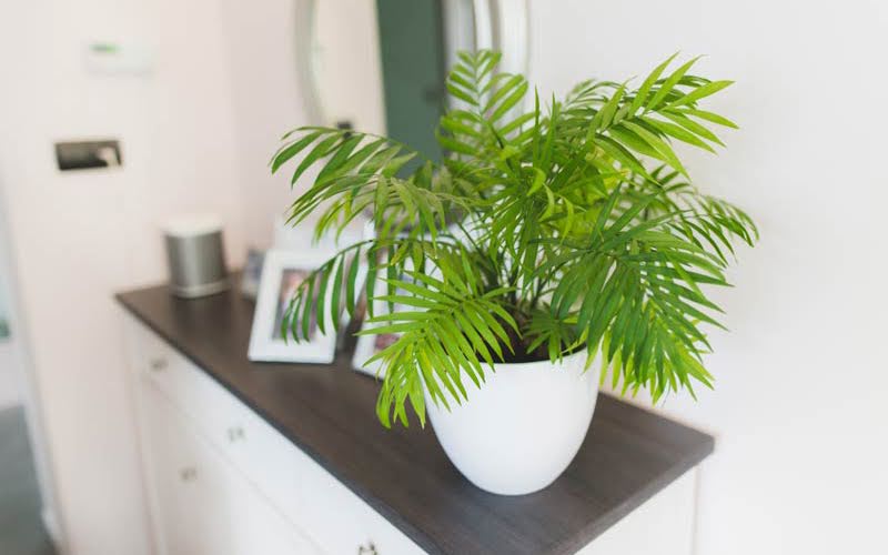 1749005135 unnamed20 202025 06 04t094425 795