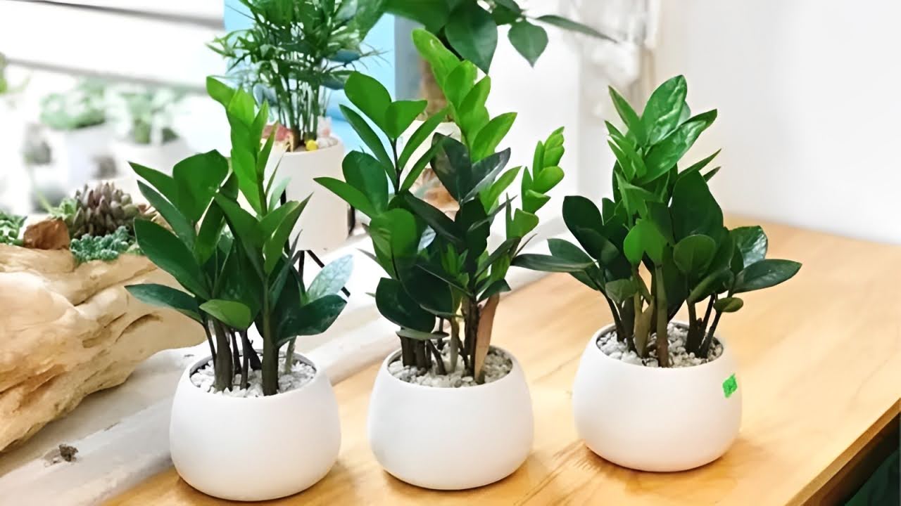 1749005147 unnamed20 202025 06 04t094421 786