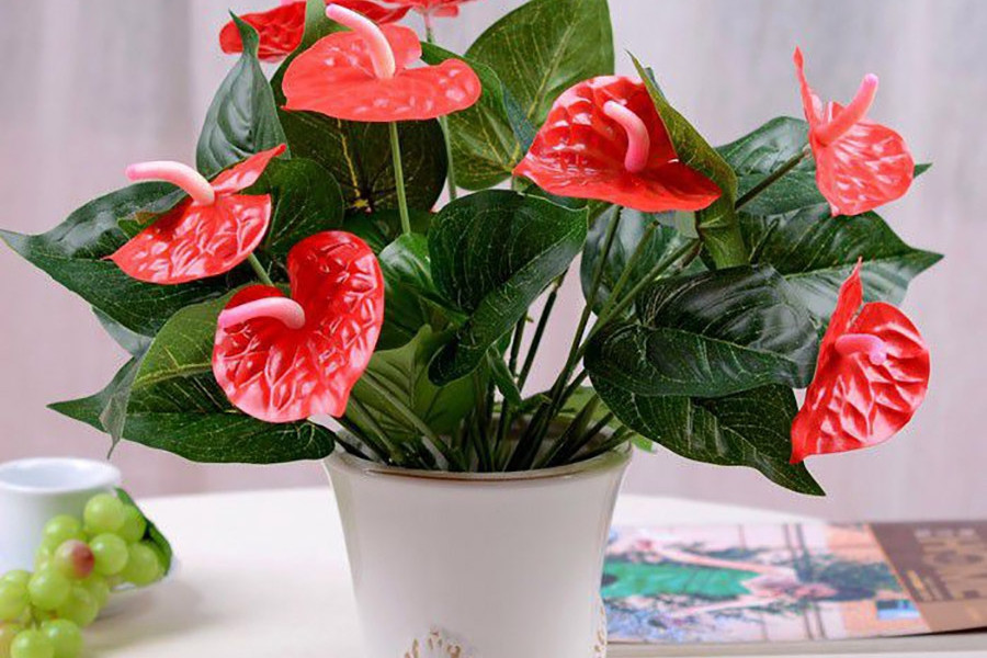 1749089926 unnamed20 202025 06 05t091827 113