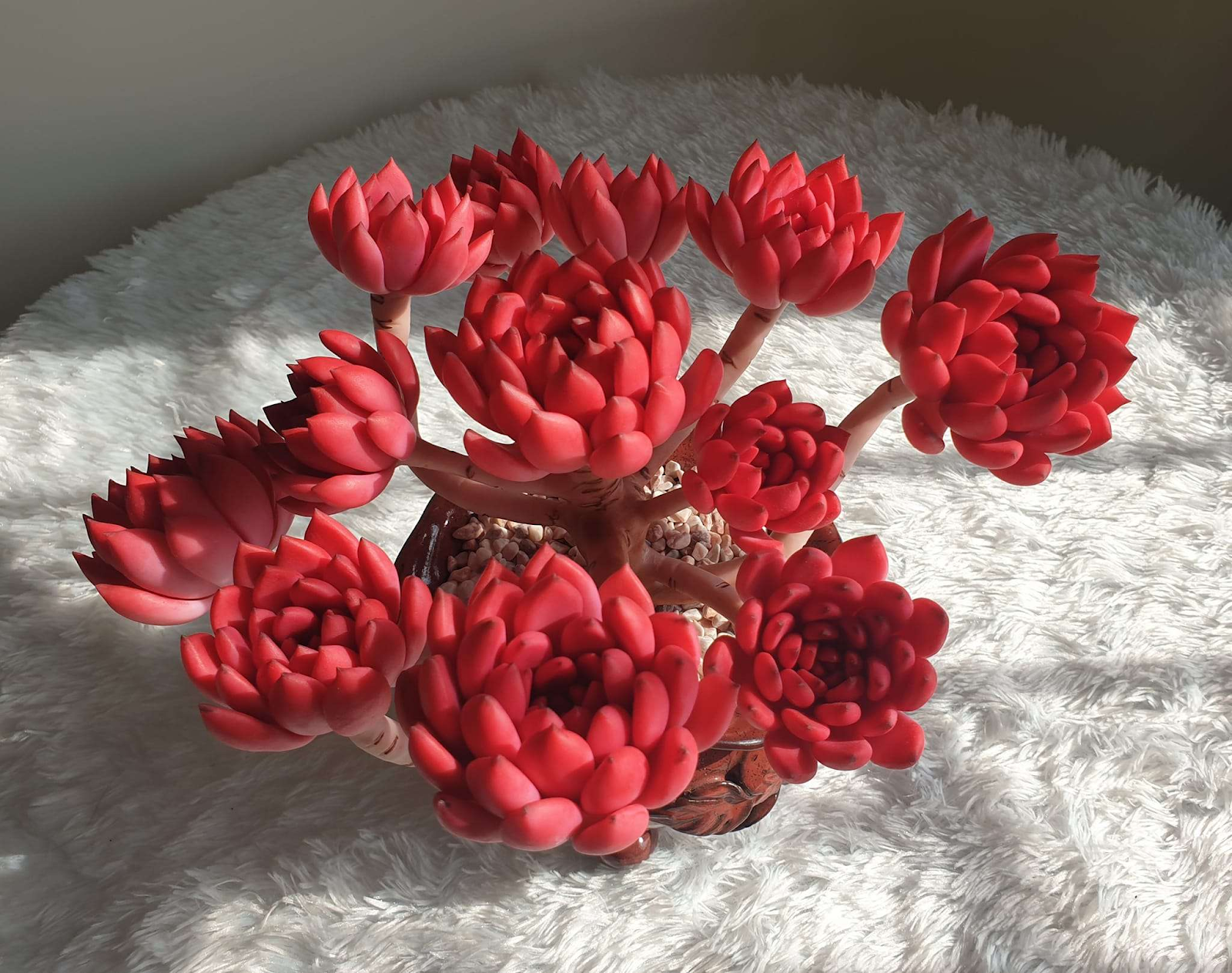 1749089944 unnamed20 202025 06 05t091819 986