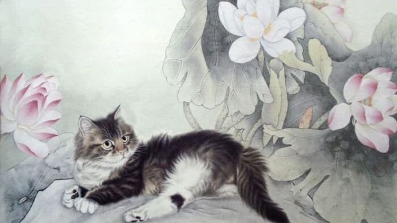 1750215590_tu-vi-tuoi-mao-2025 1750215590 tu vi tuoi mao 2025