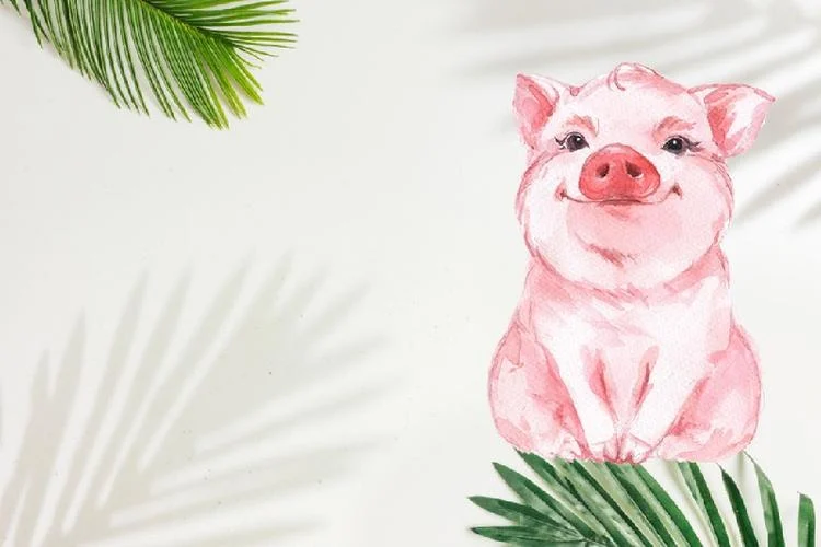 1751943042 tuoi hoi hom nay